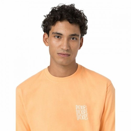 Short Sleeve T-Shirt Dickies Creswell Orange Men image 2