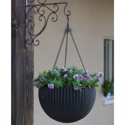 Keter Puķu pods karināms Hanging Sphere Planter gaiši brūns image 2