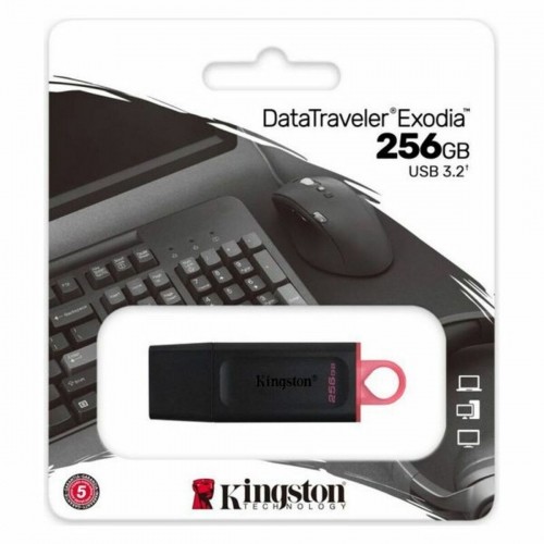 USB stick Kingston DataTraveler DTX Black USB stick image 2
