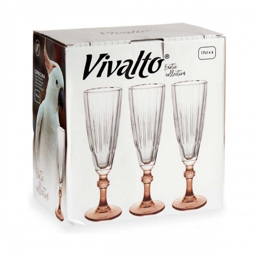 Vivalto Šampanieša glāze Exotic Stikls Brūns 6 gb. (170 ml) image 2