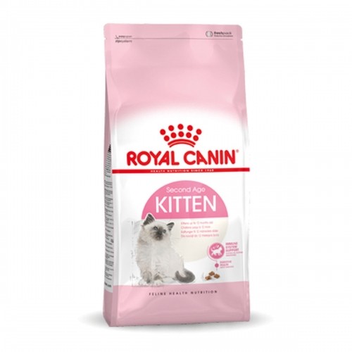 Cat food Royal Canin Kitten Chicken 10 kg image 2
