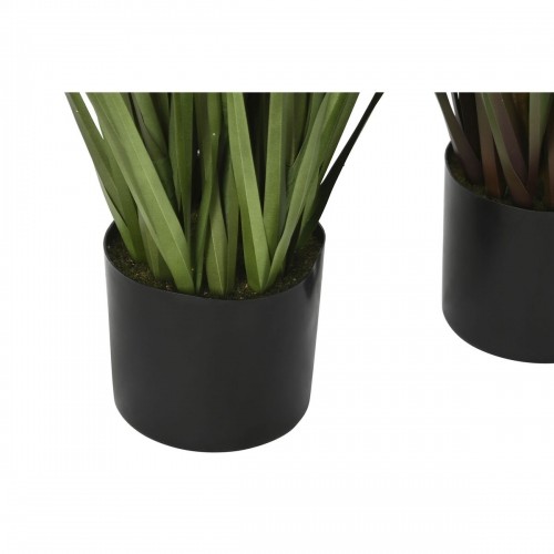 Decorative Plant Home ESPRIT PVC Polyethylene 45 x 45 x 150 cm (2 Units) image 2