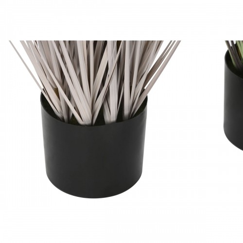 Декоративное растение Home ESPRIT PVC полиэтилен 35 x 35 x 120 cm (2 штук) image 2