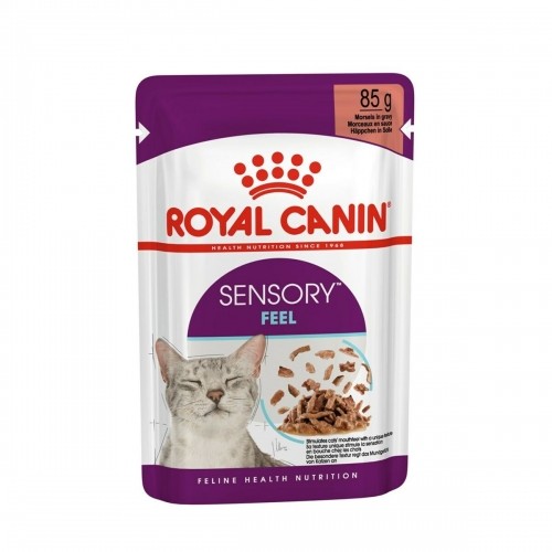Cat food Royal Canin SENSORY FEEL Meat 12 x 85 g image 2