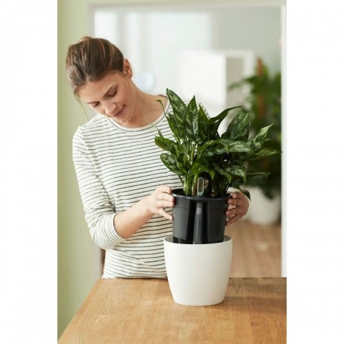 Self-watering flowerpot Elho Insert 28 Black Plastic 27,7 x 27,7 x 25,5 cm image 2