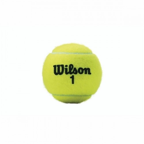 tenisa bumbiņas Wilson Championship XD  (3 pcs) image 2