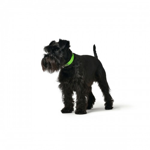 Dog collar Hunter Convenience 47-55 cm L Green image 2