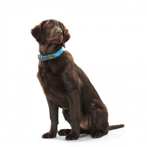 Dog collar Hunter Convenience 47-55 cm L Turquoise image 2