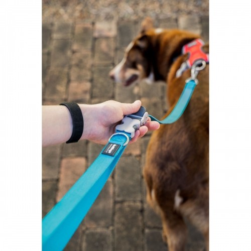 Dog Lead Red Dingo Turquoise image 2