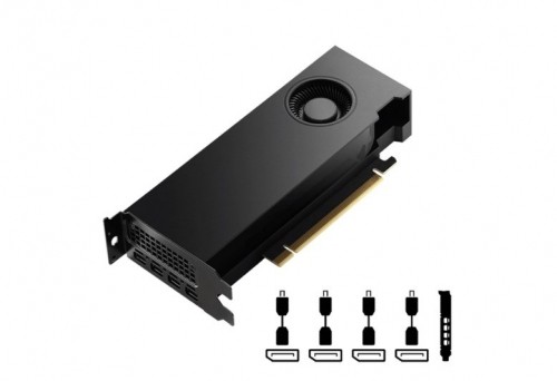 Pny Technologies Graphics card PNY NVIDIA RTX 4000 SFF Ada Generation, 20 GB GDDR6 160-bit,  PCIe 4.0 x16, Dual Slot, 4x Mini DP 1.4a, LP - ATX bracket, Retail, 1x mDP to DP adapter image 2