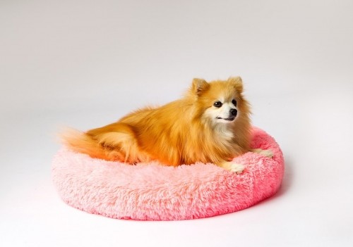 GO GIFT Shaggy pink M - pet bed - 57 x 57 x 10 cm image 2