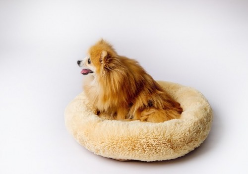 GO GIFT Shaggy cream M - pet bed - 57 x 57 x 10 cm image 2