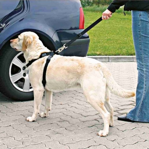 Trixie Car Harness for dog - size M image 2