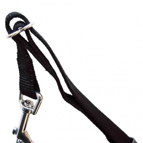 TRIXIE Car-safety dog harness S 1290 image 2