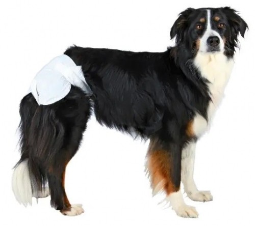 TRIXIE - Nappies for Dogs - XS-S image 2