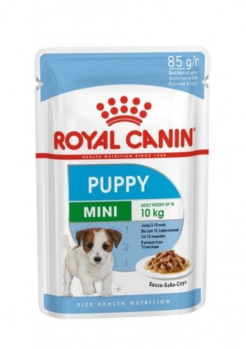 ROYAL CANIN SHN Mini Puppy in sauce - wet puppy food - 12X85g image 2