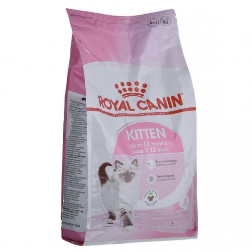 Royal Canin FHN Kitten - dry kitten food - 4kg image 2