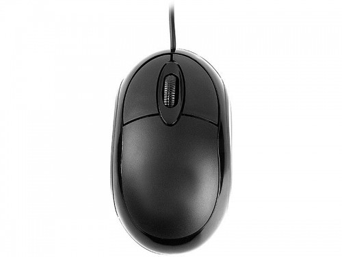 Tracer TRAMYS45906 mouse Right-hand USB Type-A Optical 800 DPI image 2