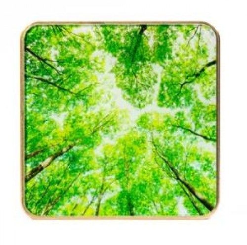 SMART HOME AIR QUALITY SENSOR/GOLD/TREE AIRV-TREE AIRVALENT image 2