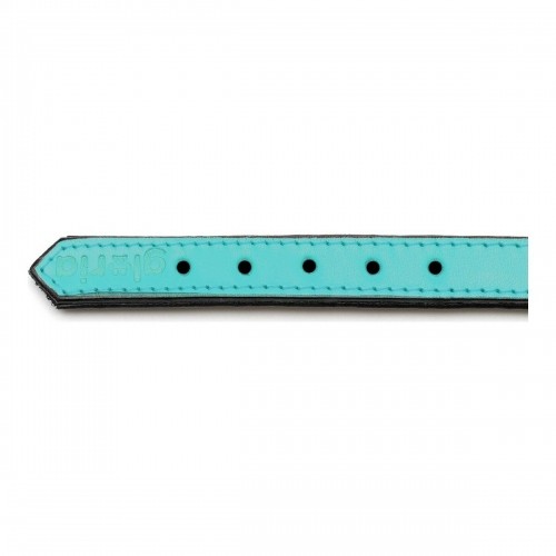 Dog collar Gloria Padded Turquoise 40 cm (40 x 2 cm) image 2