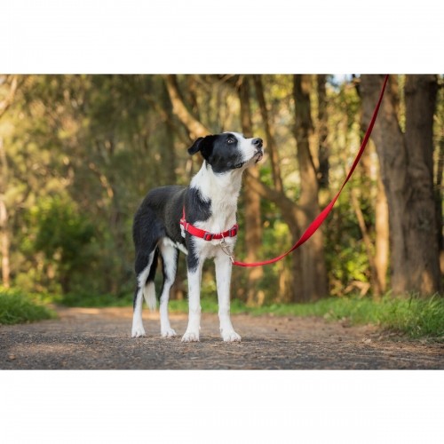 Dog Harness Red Dingo 30-42 cm Red XS image 2