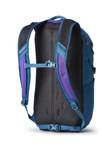 Multipurpose Backpack - Gregory Nano 20 Icon Teal image 2