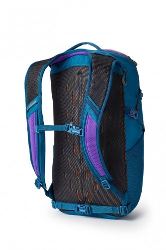 Trekking backpack - Gregory Nano 24 Icon Teal image 2