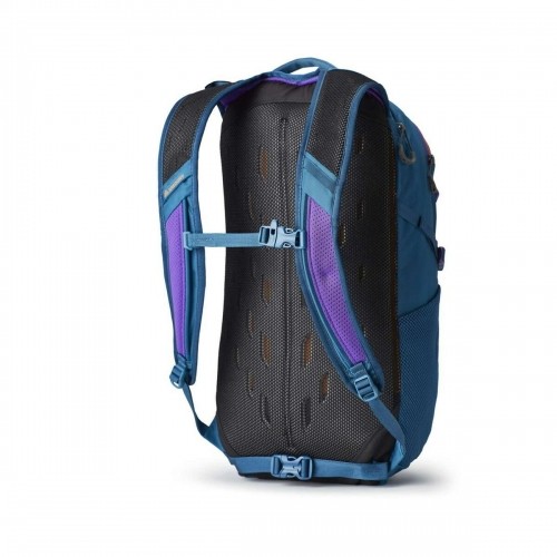 Multipurpose Backpack Gregory Nano 20 Turquoise image 2