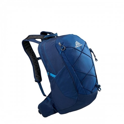Универсальный рюкзак Gregory Kiro 22 Синий image 2