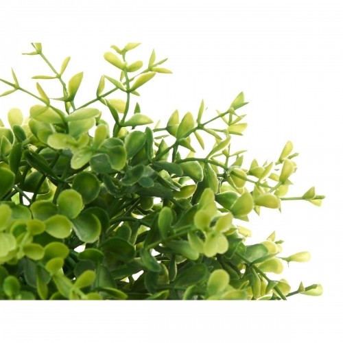 Decorative Plant Plastic Small (6 Units) image 2