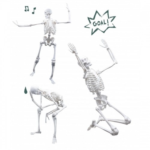 Skelets 45 cm, Buki image 2