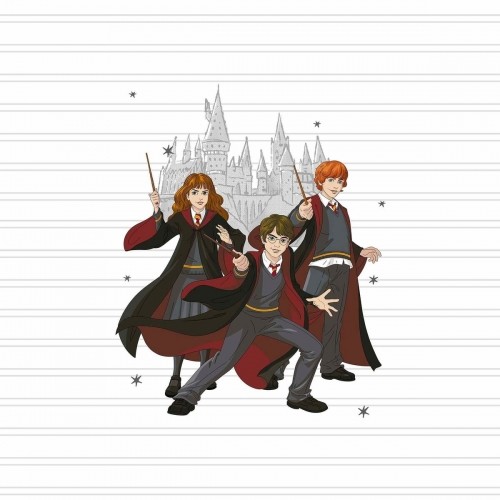 Ziemeļu pārvalks Harry Potter Team 180 x 220 cm Gulta 105 image 2
