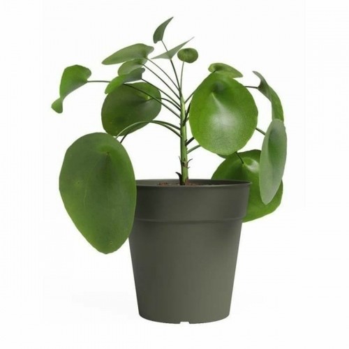Plant pot Artevasi 50 x 50 x 47,7 cm Green image 2