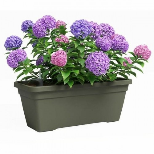 Plant pot Artevasi 57,9 x 24,3 x 22 cm Green image 2