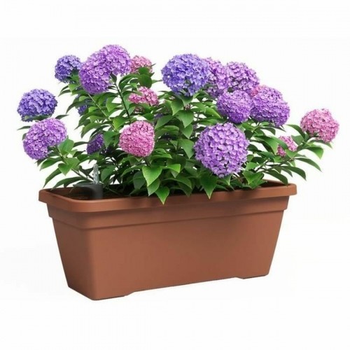 Plant pot Artevasi Brown 24,3 x 22 cm Plastic Rectangular image 2