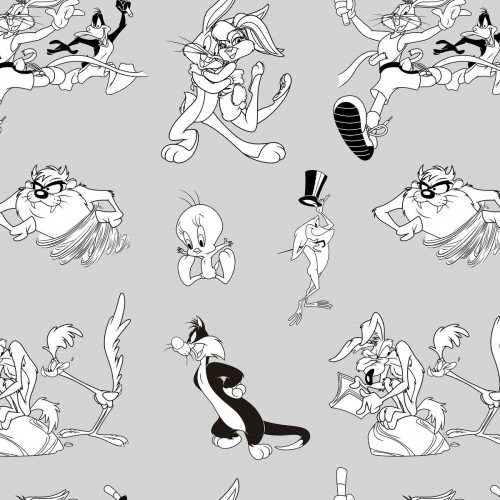 Ziemeļu pārvalks Looney Tunes Looney BN Balts black 220 x 220 cm image 2