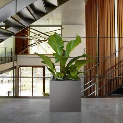 Self-watering flowerpot Lechuza Anthracite 40 x 40 x 76 cm image 2