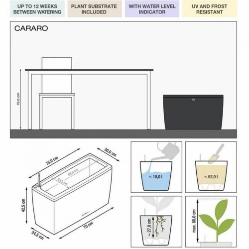 Plant pot Lechuza 75 x 30 x 43 cm Plastic Rectangular image 2