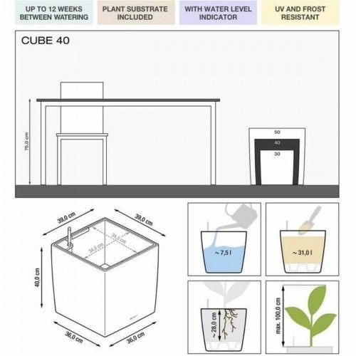 Plant pot Lechuza 36 x 36 x 40 cm Black polypropylene Plastic image 2