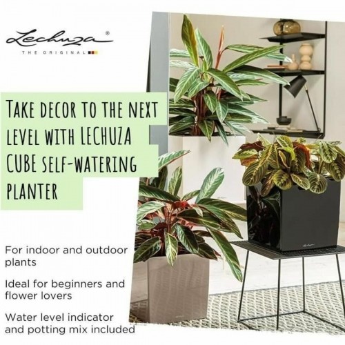 Self-watering flowerpot Lechuza 50 x 50 cm Black polypropylene Plastic image 2