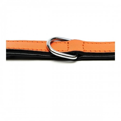 Dog collar Gloria Padded Orange (40 x 2 cm) image 2