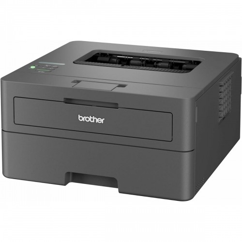 Monochrome Laser Printer Brother HLL2400DWRE1 image 2