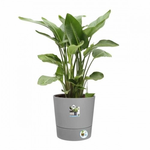 Plant pot Elho Grey Ø 43 cm image 2