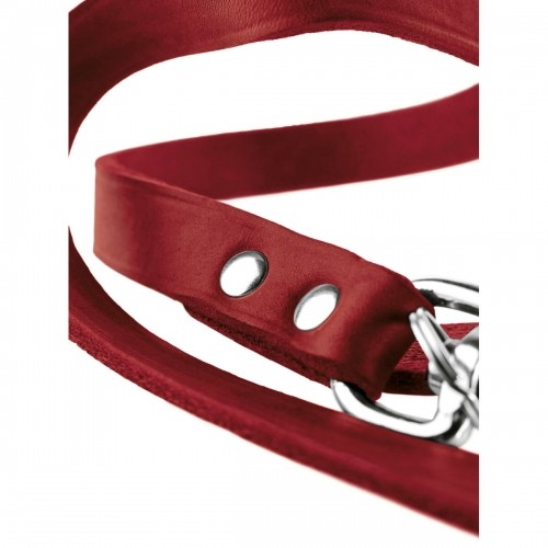 Dog Lead Hunter Red 2 m Adjustable Leather image 2