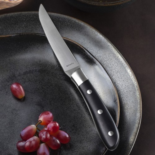 Набор ножей для мяса Amefa Achille Металл 23 x 2,4 x 1,5 cm 6 штук image 2
