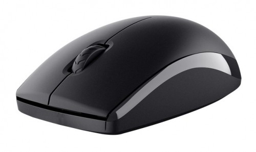 Trust Primo keyboard Mouse included RF Wireless QWERTY US English Black image 2