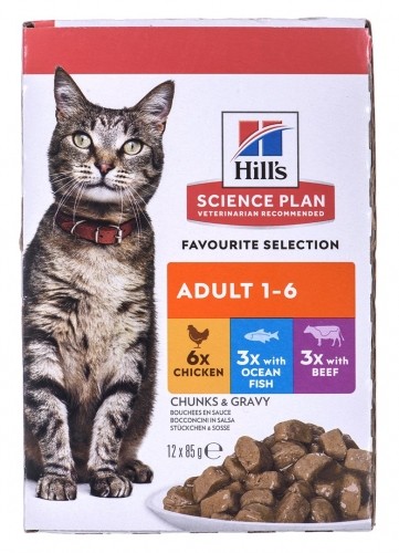 HILL'S Feline Adult Multipack Classic - saszetka 12x85g image 2