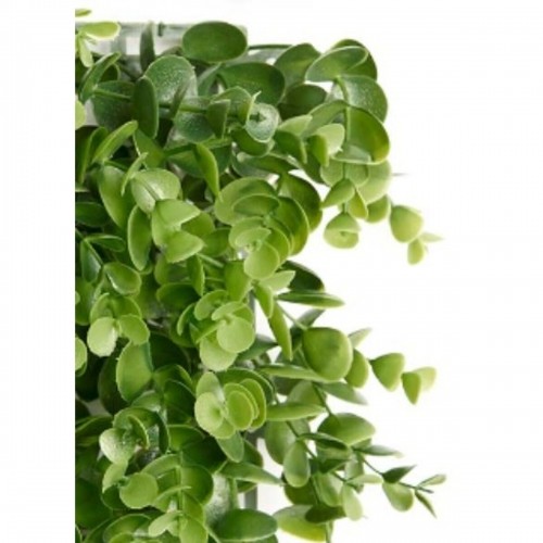 Ibergarden Вертикальный садовый Зеленый Пластик Листья 50 x 50 cm image 2