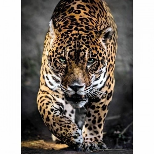 Puzle un domino komplekts Clementoni Walking Jaguar 39326 69 x 50 cm 1000 Daudzums image 2