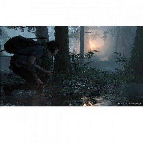 PlayStation 4 Video Game Naughty Dog The Last of Us: Part 2 image 2